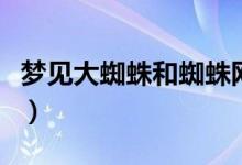 夢見大蜘蛛和蜘蛛網(wǎng)是什么預兆（夢見大蜘蛛）