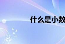 什么是小數(shù)（什么是小數(shù)）