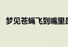 夢見蒼蠅飛到嘴里是什么意思（夢見蒼蠅）