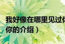我好像在哪里見過你（關(guān)于我好像在哪里見過你的介紹）