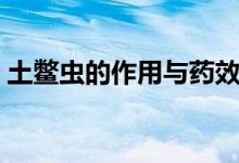 土鱉蟲的作用與藥效（土鱉蟲的功效與作用）