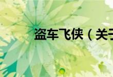 盜車飛俠（關于盜車飛俠的介紹）