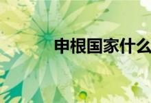 申根國家什么意思（申根國家）