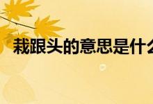 栽跟頭的意思是什么（栽跟頭是什么意思）