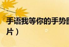 手語(yǔ)我等你的手勢(shì)圖片（手語(yǔ)我喜歡你手勢(shì)圖片）