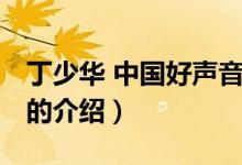 丁少華 中國好聲音（關于丁少華 中國好聲音的介紹）