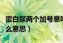 蛋白尿兩個加號意味著什么（選擇性蛋白尿什么意思）