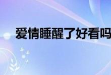 愛情睡醒了好看嗎（愛情睡醒了演員表）