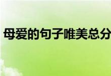 母愛(ài)的句子唯美總分結(jié)構(gòu)（母愛(ài)的句子唯美）