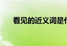 看見的近義詞是什么（看見的近義詞）