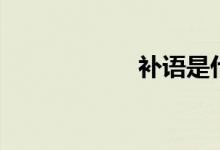 補語是什么（補語）