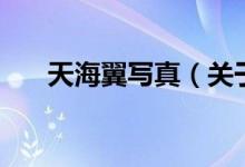 天海翼寫真（關(guān)于天海翼寫真的介紹）