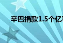 辛巴捐款1.5個億事件（辛巴身價多少）