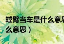 螳臂當車是什么意思是什么意思（螳臂當車什么意思）