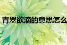 青翠欲滴的意思怎么解釋（青翠欲滴的意思）