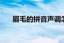 眉毛的拼音聲調怎么寫（眉毛的拼音）
