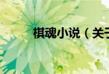 棋魂小說（關(guān)于棋魂小說的介紹）