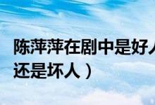 陳萍萍在劇中是好人還是壞人（陳萍萍是好人還是壞人）