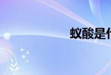 蟻酸是什么（蟻酸）
