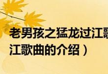 老男孩之猛龍過江歌曲（關于老男孩之猛龍過江歌曲的介紹）