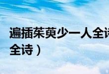 遍插茱萸少一人全詩加注解（遍插茱萸少一人全詩）