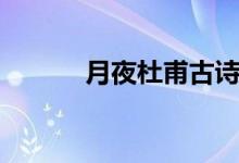 月夜杜甫古詩全文（月夜杜甫）