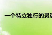 一個(gè)特立獨(dú)行的靈魂（一個(gè)特立獨(dú)行的人）
