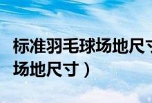 標準羽毛球場地尺寸平面圖手繪（標準羽毛球場地尺寸）