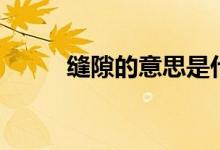 縫隙的意思是什么（縫隙的意思）
