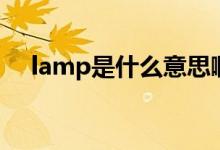 lamp是什么意思?。╨amp是什么意思）