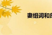 妻組詞和部首（妻組詞）