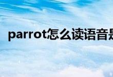 parrot怎么讀語(yǔ)音是什么（parrot怎么讀）