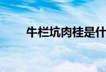 牛欄坑肉桂是什么茶（牛欄坑肉桂）