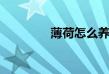 薄荷怎么養(yǎng)（薄荷怎么養(yǎng)）