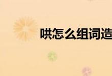 哄怎么組詞造句（哄怎么組詞）