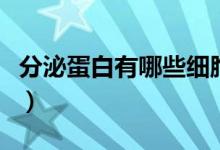 分泌蛋白有哪些細(xì)胞器參與（分泌蛋白有哪些）
