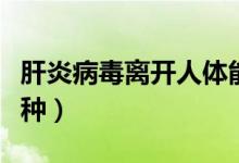 肝炎病毒離開(kāi)人體能存活多久（肝炎病毒有幾種）