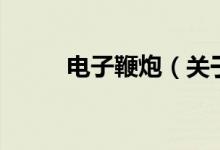 電子鞭炮（關(guān)于電子鞭炮的介紹）