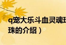 q寵大樂(lè)斗血靈魂珠（關(guān)于q寵大樂(lè)斗血靈魂珠的介紹）