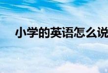 小學(xué)的英語(yǔ)怎么說(shuō)（大學(xué)的英語(yǔ)怎么說(shuō)）