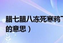 臘七臘八凍死寒鴉下一句（臘七臘八凍死寒鴉的意思）
