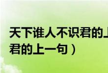 天下誰人不識(shí)君的上一句詩句（天下誰人不識(shí)君的上一句）