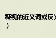 凝視的近義詞或反義詞（凝視的近義詞是什么）