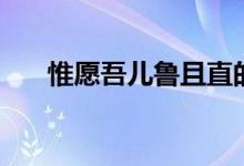 惟愿吾兒魯且直的意思（惟愿的意思）