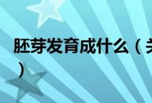 胚芽發(fā)育成什么（關于胚芽發(fā)育成什么的介紹）