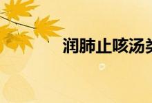 潤肺止咳湯類（潤肺止咳湯）