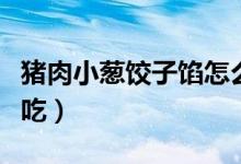 豬肉小蔥餃子餡怎么調(diào)（豬肉餃子餡怎么調(diào)好吃）