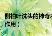 側(cè)柏葉洗頭的神奇功效與作用（側(cè)柏葉洗頭的作用）