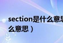 section是什么意思中文翻譯（section是什么意思）