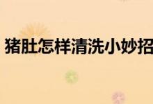 豬肚怎樣清洗小妙招（豬肚怎樣清洗更干凈）